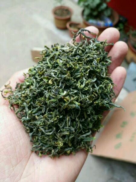 日照巨峰镇的茶叶怎么样
