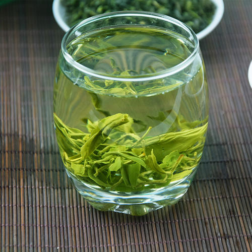 日照绿茶什么时候的茶最好