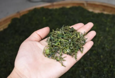 日照绿茶一般多少钱一斤