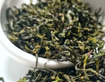 什么样的日照绿茶才是好茶？